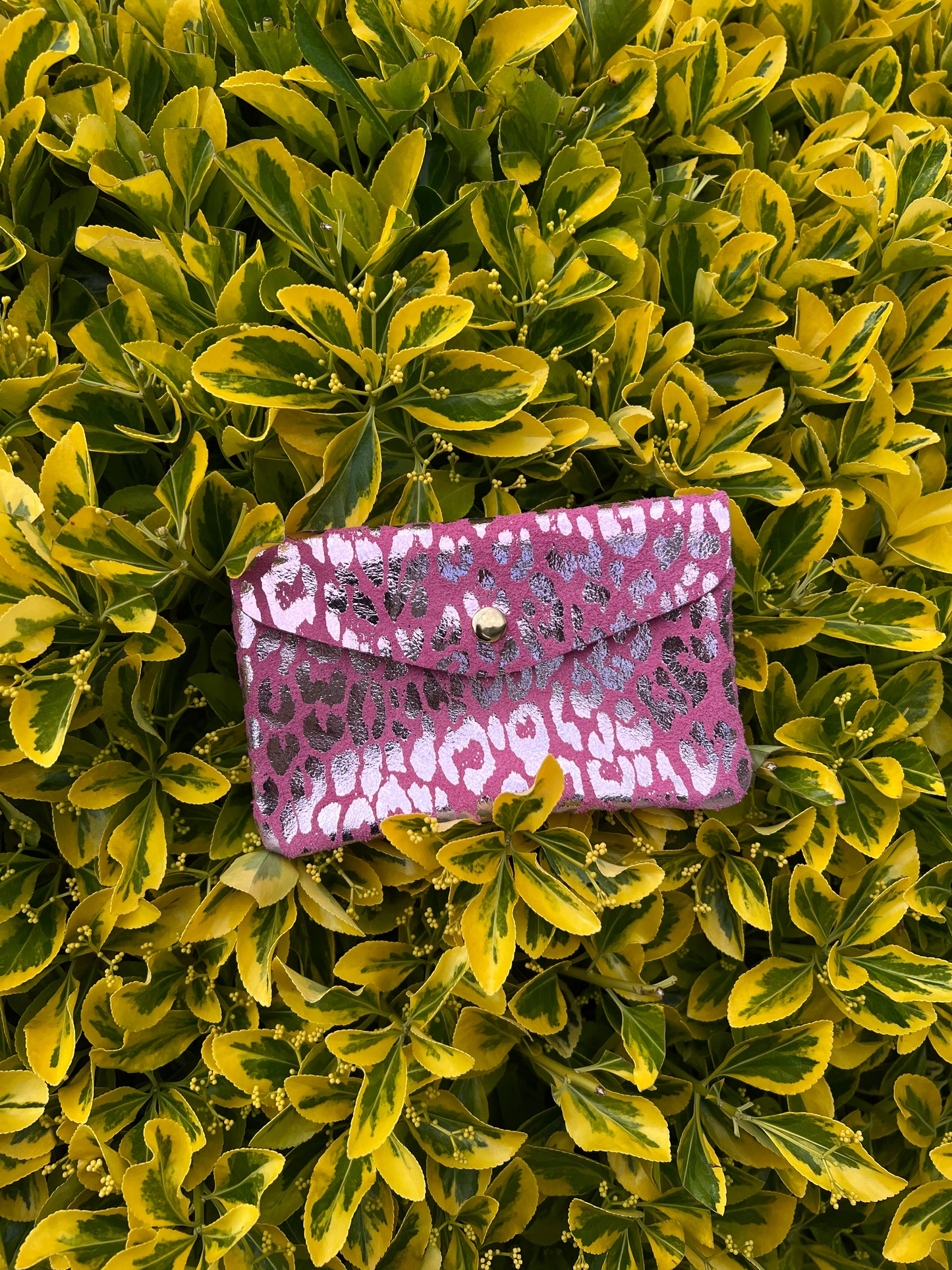 Leonora purses