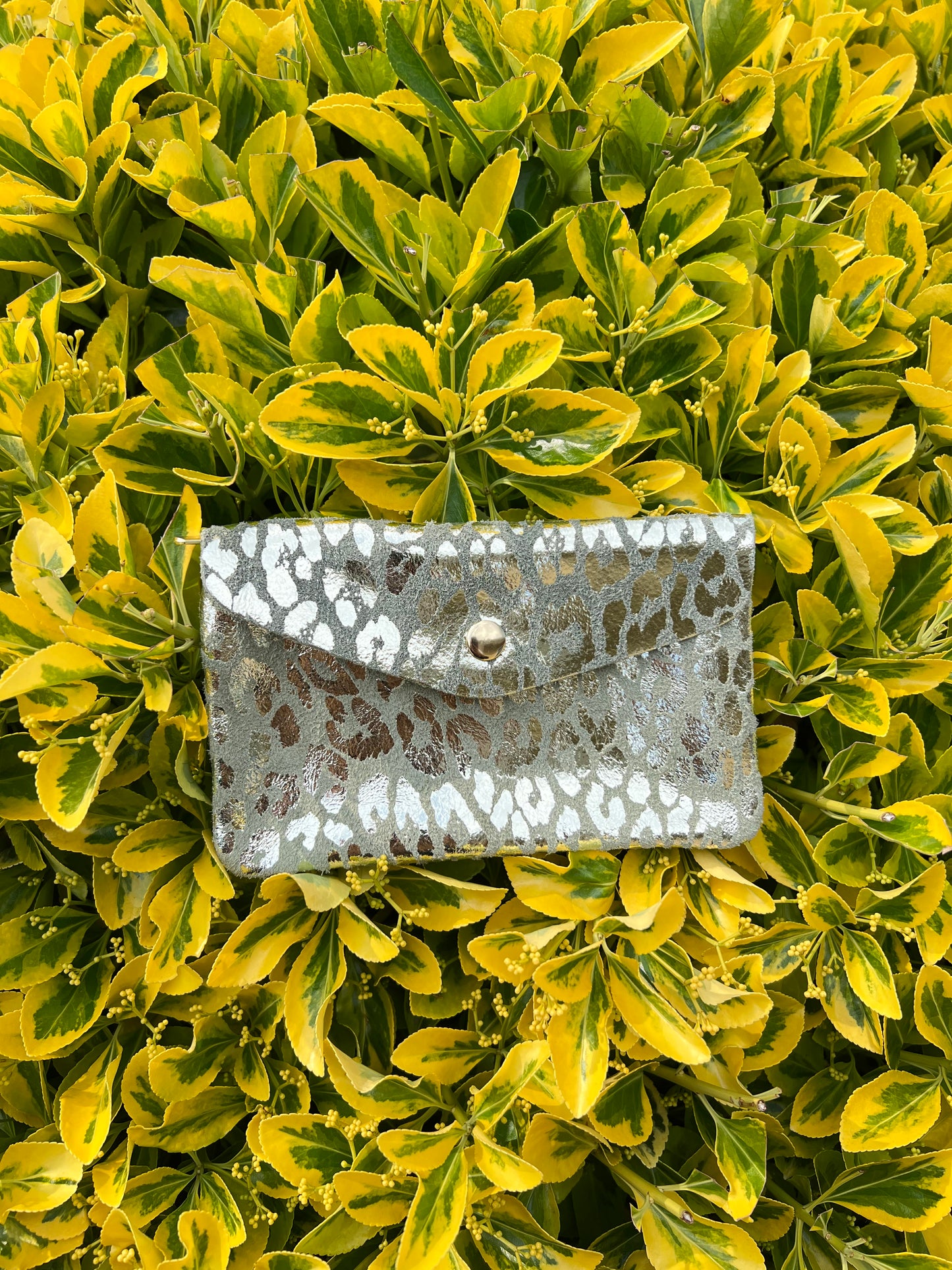 Leonora purses