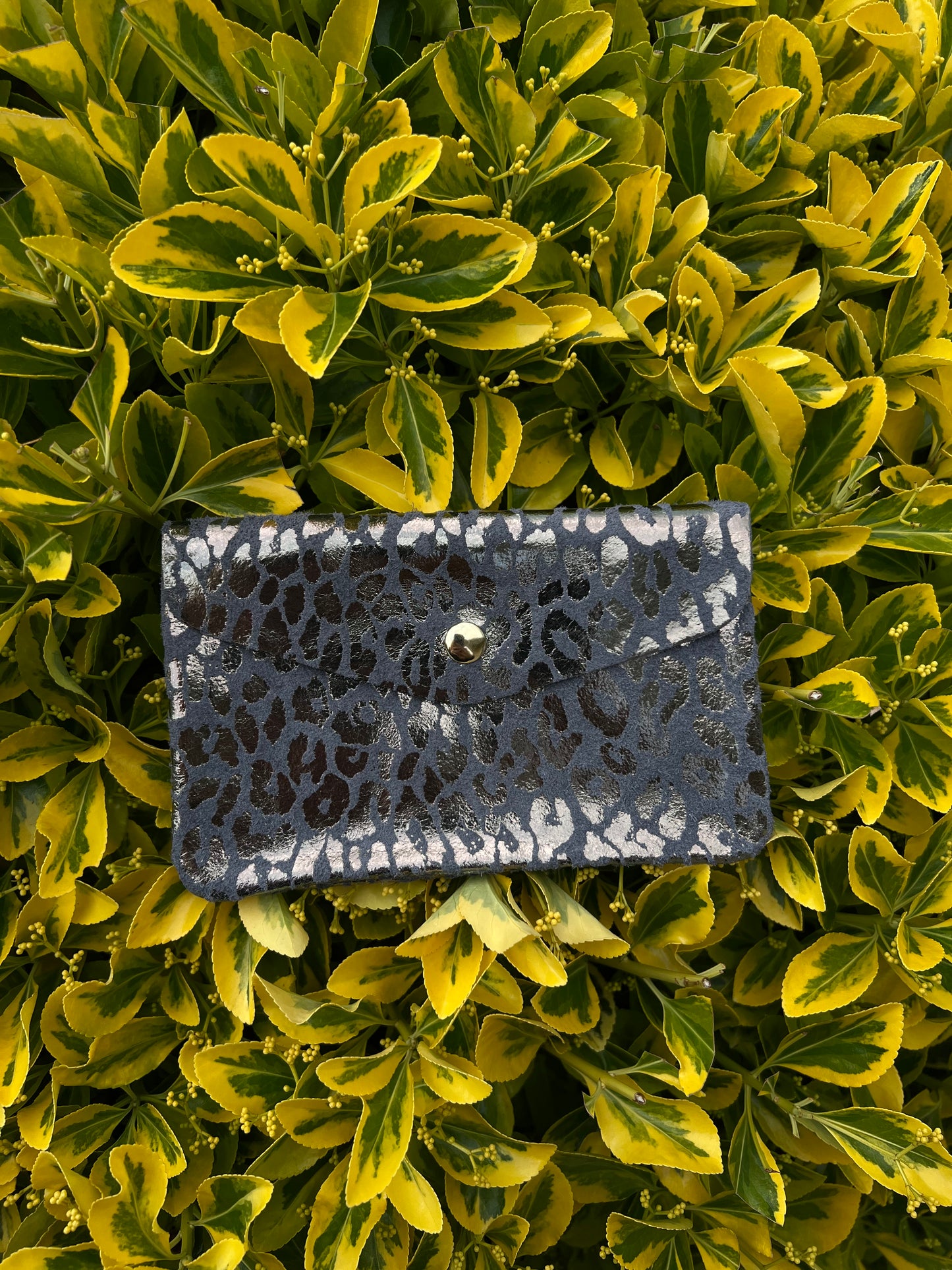 Leonora purses