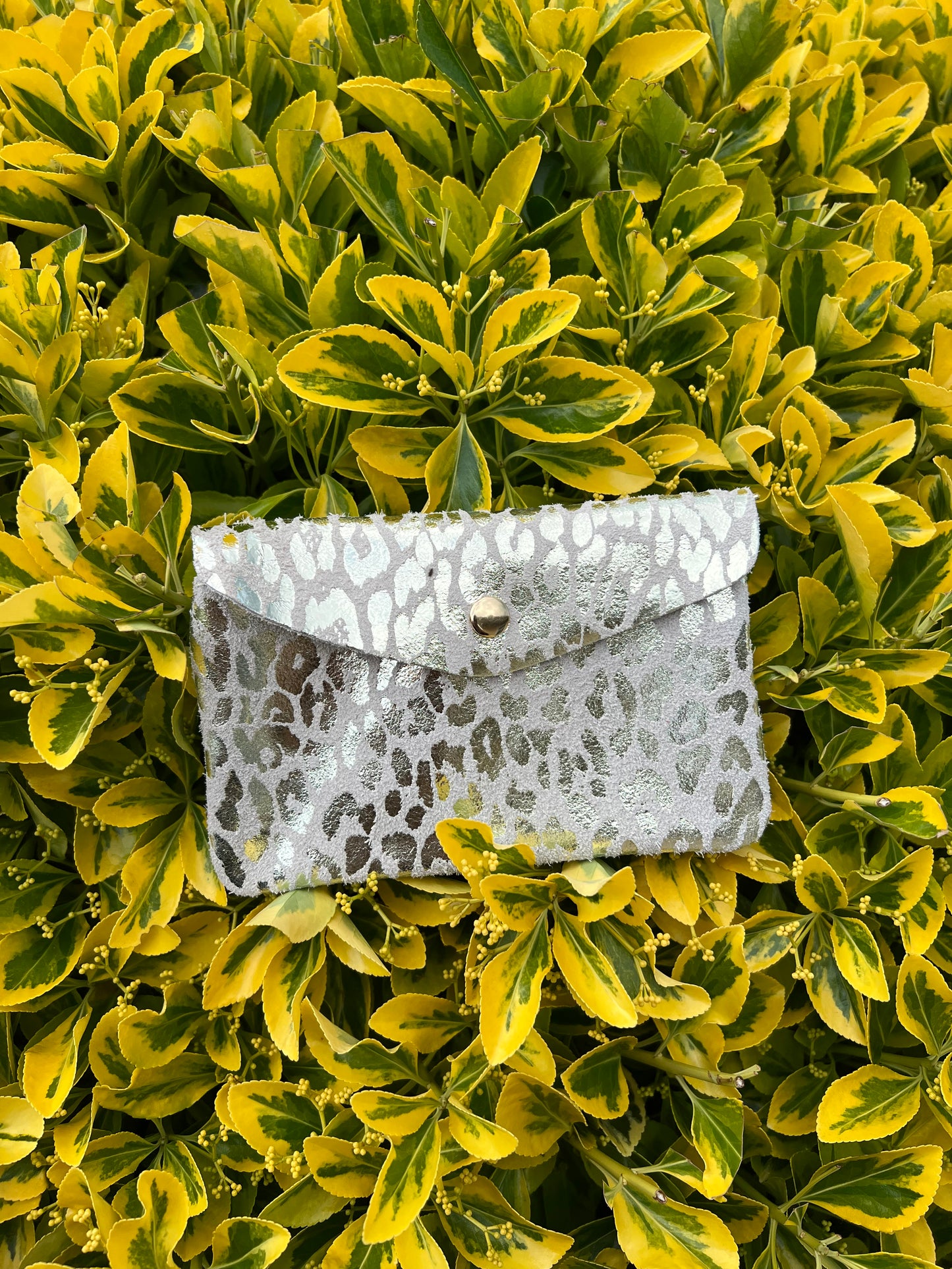 Leonora purses